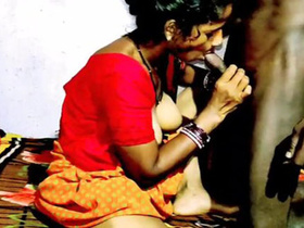 Indian couple has home sex in video