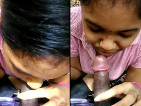 Tamil audio-enhanced video of a stunning young woman pleasuring two men in the wild