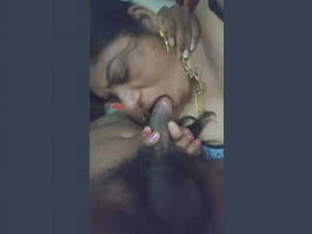 Tamil bhabhi gives a blowjob to her partner