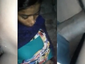 Quick and passionate sex between an Indian woman and her partner