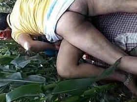 Indian couple has outdoor sex in the woods