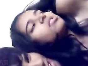 Indian teenage girl experiences first time sex with her lover in Hindi