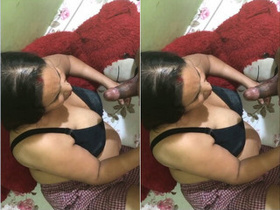 Two bhabhi chicks give blowjobs and take a load on their faces