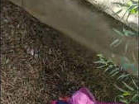 Bhabhi caught getting fucked in public