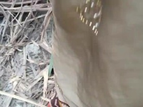 Indian couple has public sex in the woods