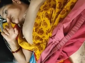 Desi aunty with a sexy pussy gets pounded