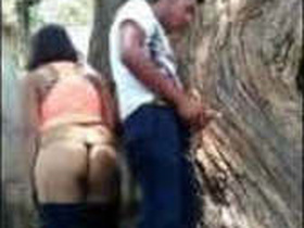Desi couple indulges in public sex in a park