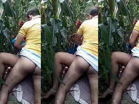 Desi couple enjoys steamy sex in the open fields during daytime