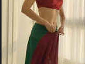 Indian bhabhi in saree gets naughty in the bedroom