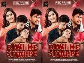 Exclusive series: The web of biwi's desires