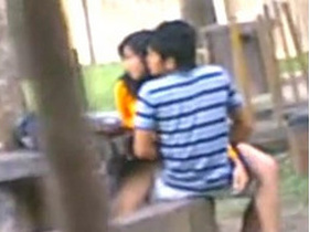 Desi students fucking in a park, caught on camera