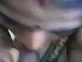 Indian village girl gives a blowjob in MMS